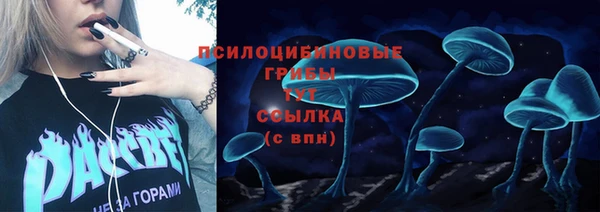 круглые Елизово