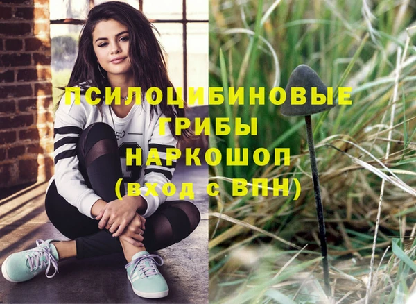 круглые Елизово