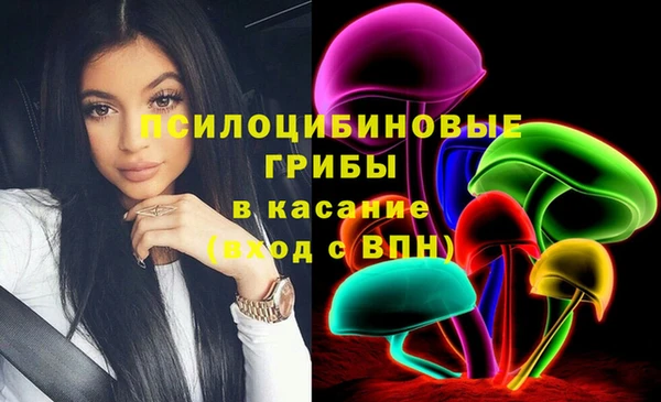 спиды Елабуга