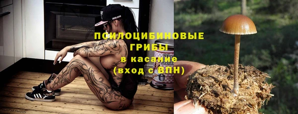 круглые Ельня
